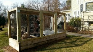 Yard2Kitchen 12-foot garden and fencing