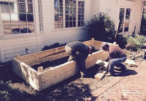 Building Yard2Kitchen organic edible garden