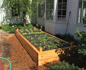 Yard2Kitchen organic edible garden, built for Paper Mill Playhouse