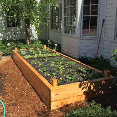 Yard2Kitchen organic edible garden, built for Paper Mill Playhouse