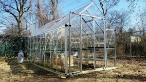 Yard2Kitchen seedling greenhouse