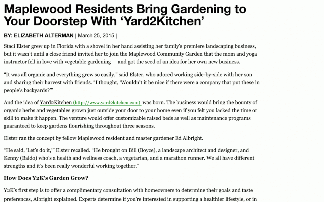 Village Green Article