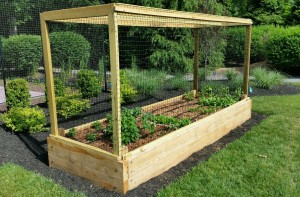 Yard2Kitchen organic gardens for estates