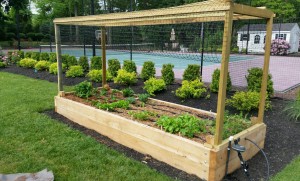Yard2Kitchen organic gardens for estates