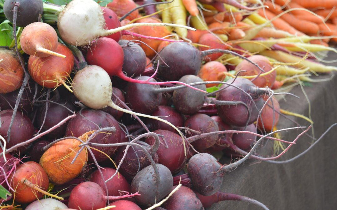 Springing from the Roots…an Edible Rainbow!