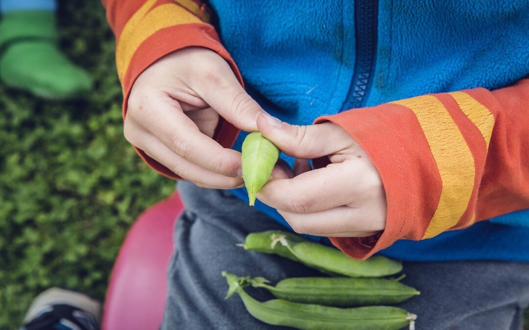 Is the Covid Gardening Boom Here to Stay?