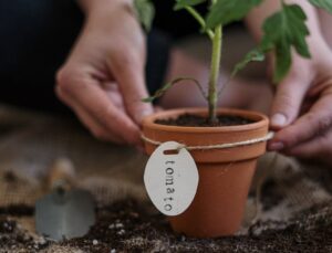 Gardening with joint pain