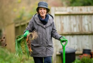 fall gardening