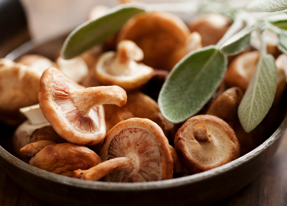 Unlocking the Power of Mushrooms: The Benefits of Oyster, Shiitake, Wine Cap, and Lion’s Mane
