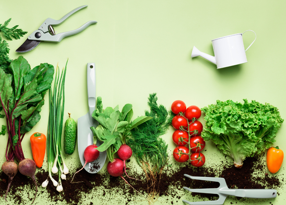The Surprising Benefits of Organic Vegetables (That Go Beyond Your Plate)
