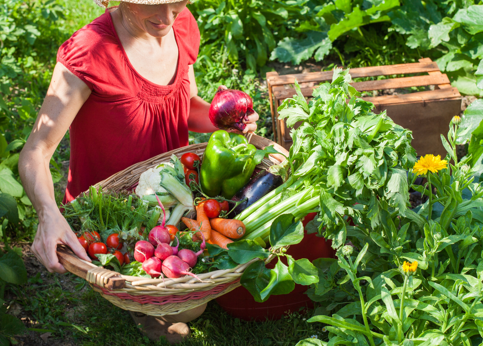 Growing Your Own Garden Brings Strength & Stability in Uncertain Times