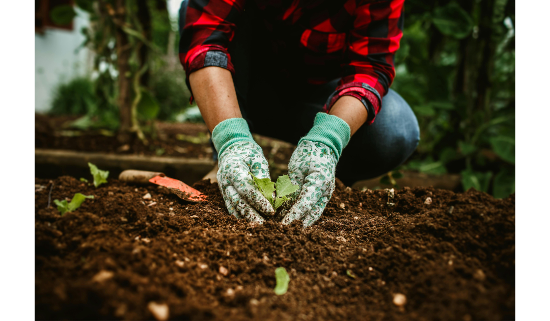Spring Garden Prep Checklist: Don’t Skip These Steps