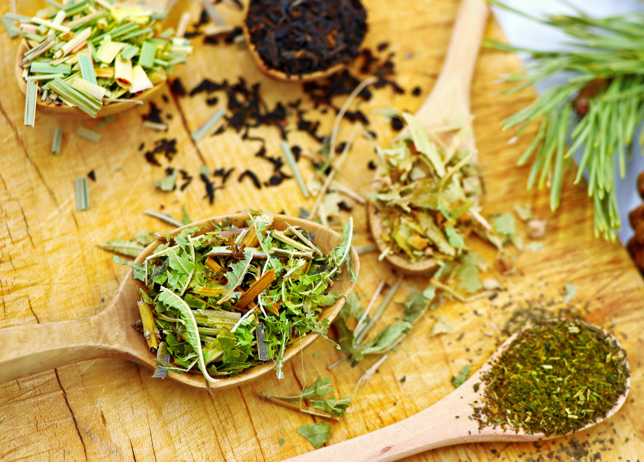 6 Beneficial Herbs to Grow in Your Backyard Garden